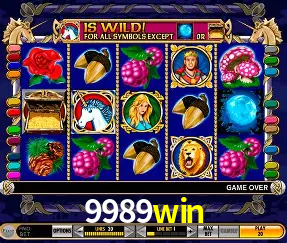 VIP Casino 9989win